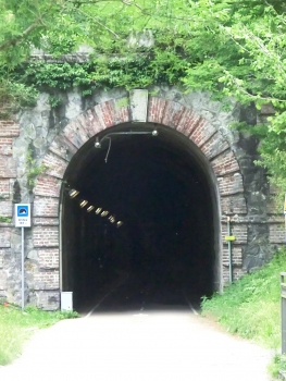 Antea Tunnel southern portal