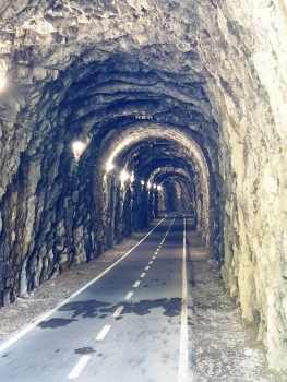 Tunnel Camel