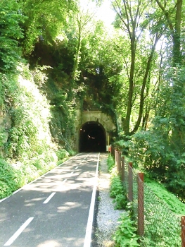 Tunnel de Camel