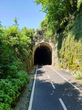 Camel Tunnel southern portal