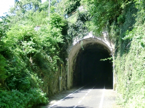 Tunnel Camel