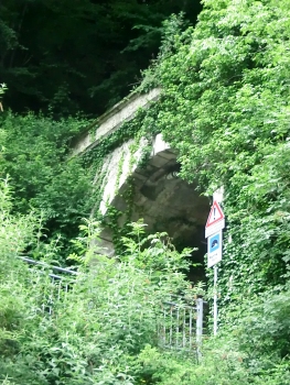 Parina 1 Tunnel southern portal