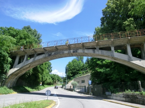 Rino Bridge