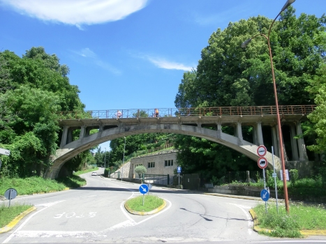 Rino Bridge