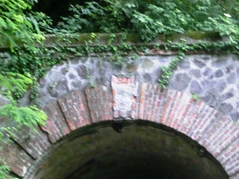 Tunnel de San Gallo