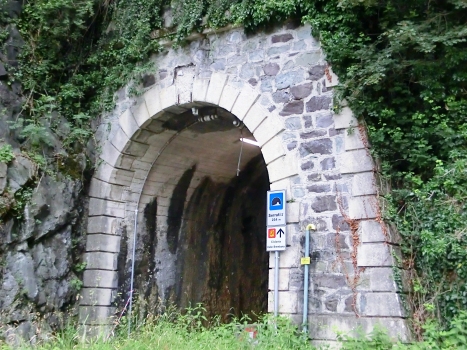 Tunnel Serrati 2