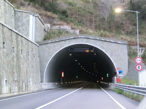 Tunnel de Borzoli-Erzelli I
