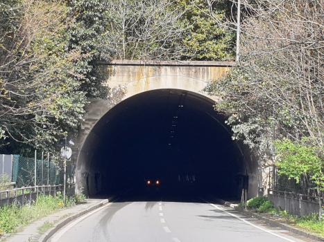 Mercati Generali Tunnel