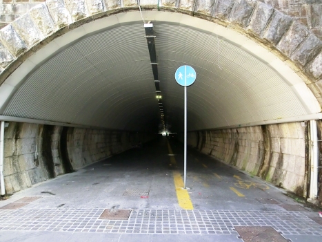 Bombi Tunnel western portal