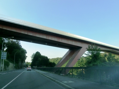Großherzogin-Charlotte-Brücke