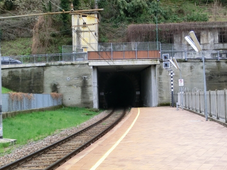 Monte Buriasco Railway Tunnel eastern portal