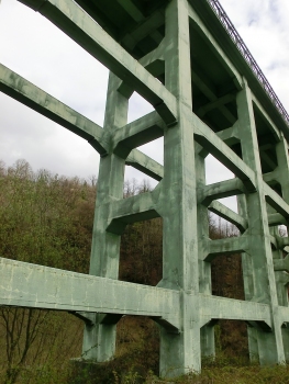 Pont sur le Stura di Valgrande