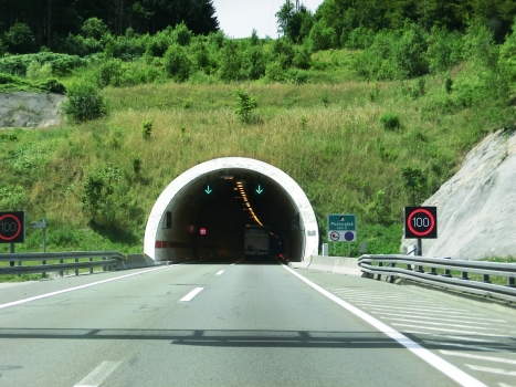 Podvugles Tunnel eastern portal