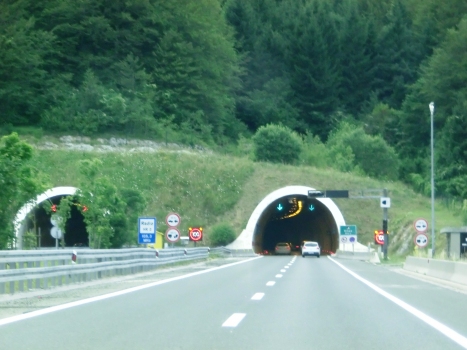 Vršek Tunnel eastern portals