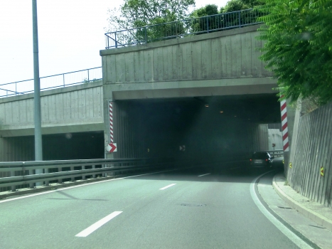 Kozala Tunnel eastern portals