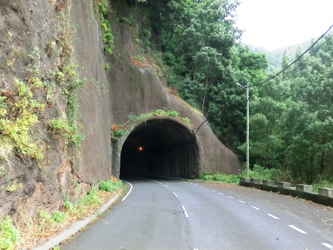 Moitadinhas Tunnel northern portal