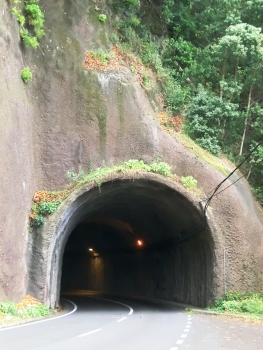 Moitadinhas Tunnel northern portal