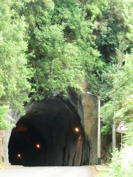 Ilha-Achada do Marques Tunnel northern portal