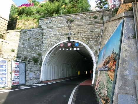 Gastaldi Tunnel southern portal