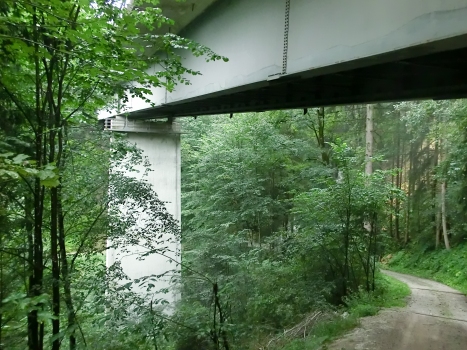 Pont Hygna