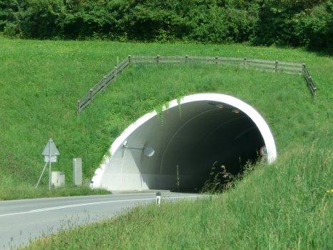 Reith Tunnel northern portal