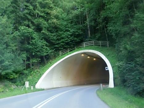 Tunnel Reith