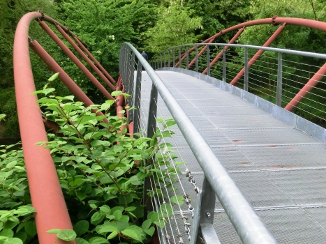 Lambro Footbridge
