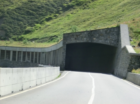 Tunnel de Forcola I