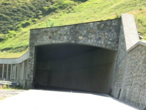 Tunnel Forcola I