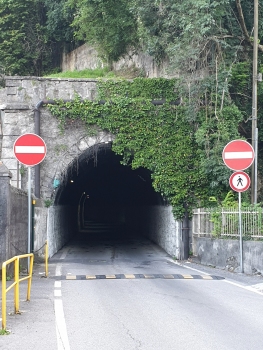 Martinoli 1 Tunnel eastern portal
