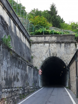 Martinoli 1 Tunnel south-western portal