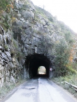 Crestola Tunnel northern portal