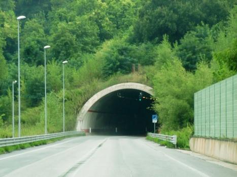 Tunnel Delle Fonti