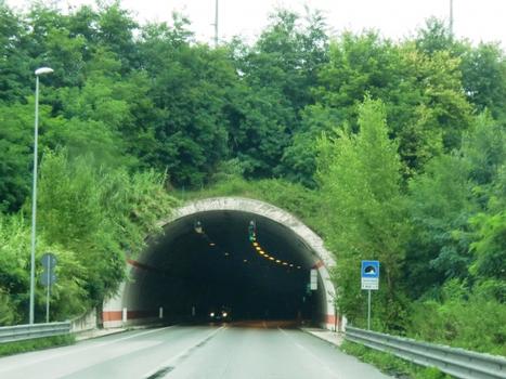 Delle Fonti Tunnel southern portal