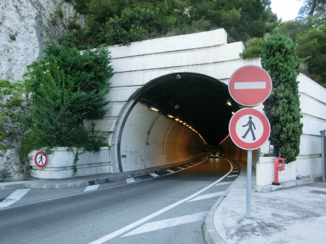 Tunnel Rainier III