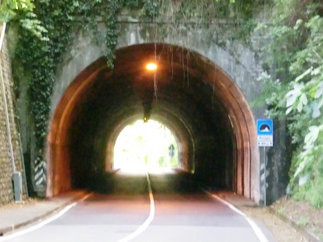Menaggio I Tunnel northern portal