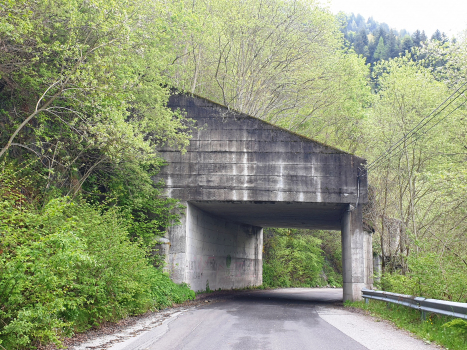 Montecampione-Plan 5 Tunnel