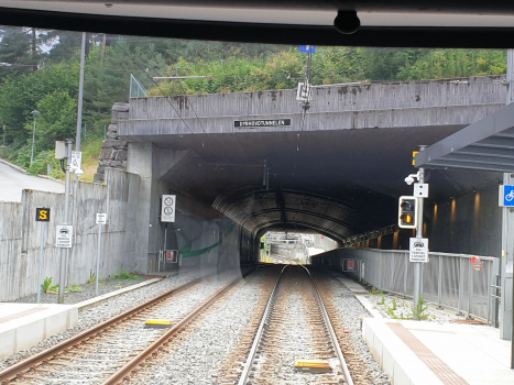 Tunnel de Dyrhovd
