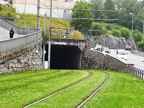 Tunnel Skjold