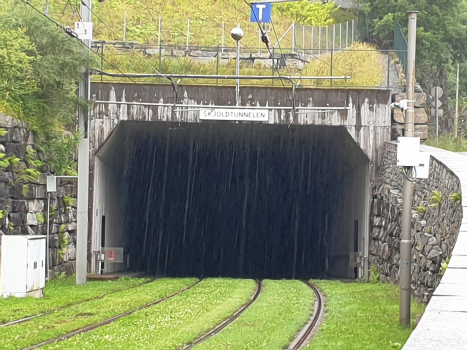 Tunnel Skjold