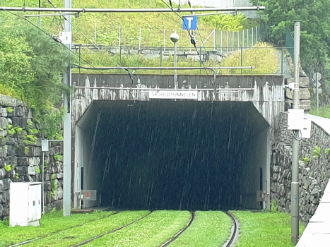 Skjold Tunnel