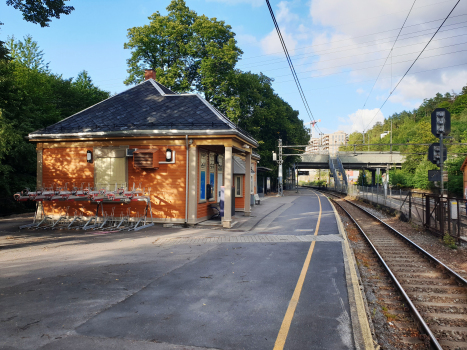 Bahnhof Bryn