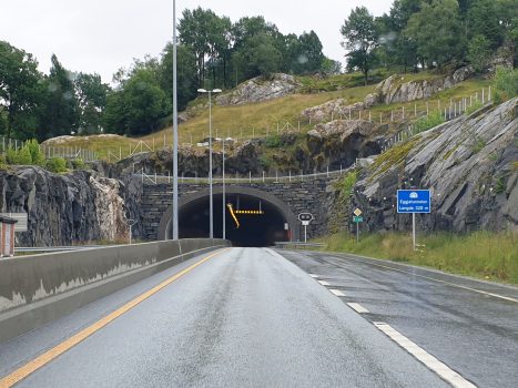 Tunnel de Eggja