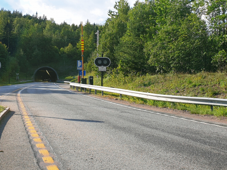 Elgskauås Tunnel
