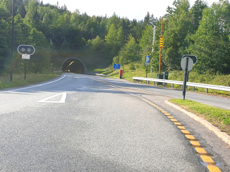 Elgskauås Tunnel