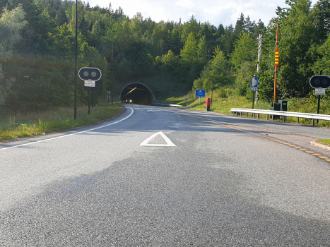 Tunnel de Elgskauås