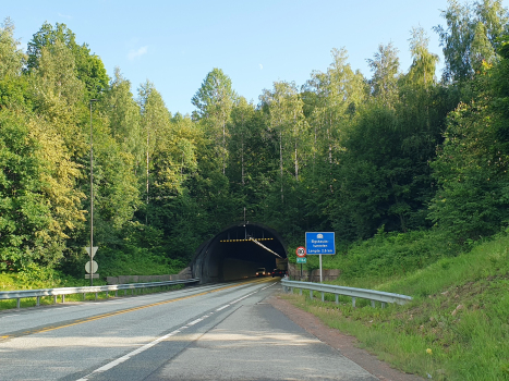 Elgskauås-Tunnel