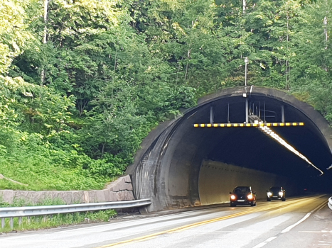 Tunnel de Elgskauås