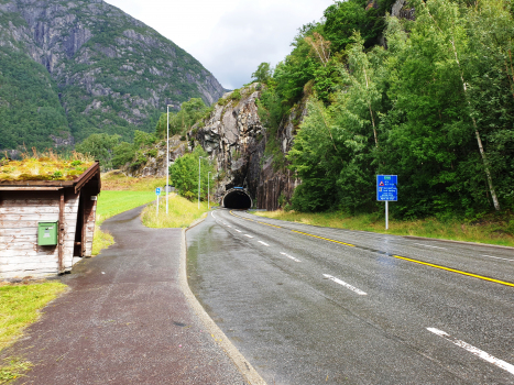 Tunnel Eljarvik
