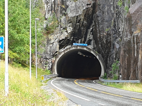 Tunnel Eljarvik